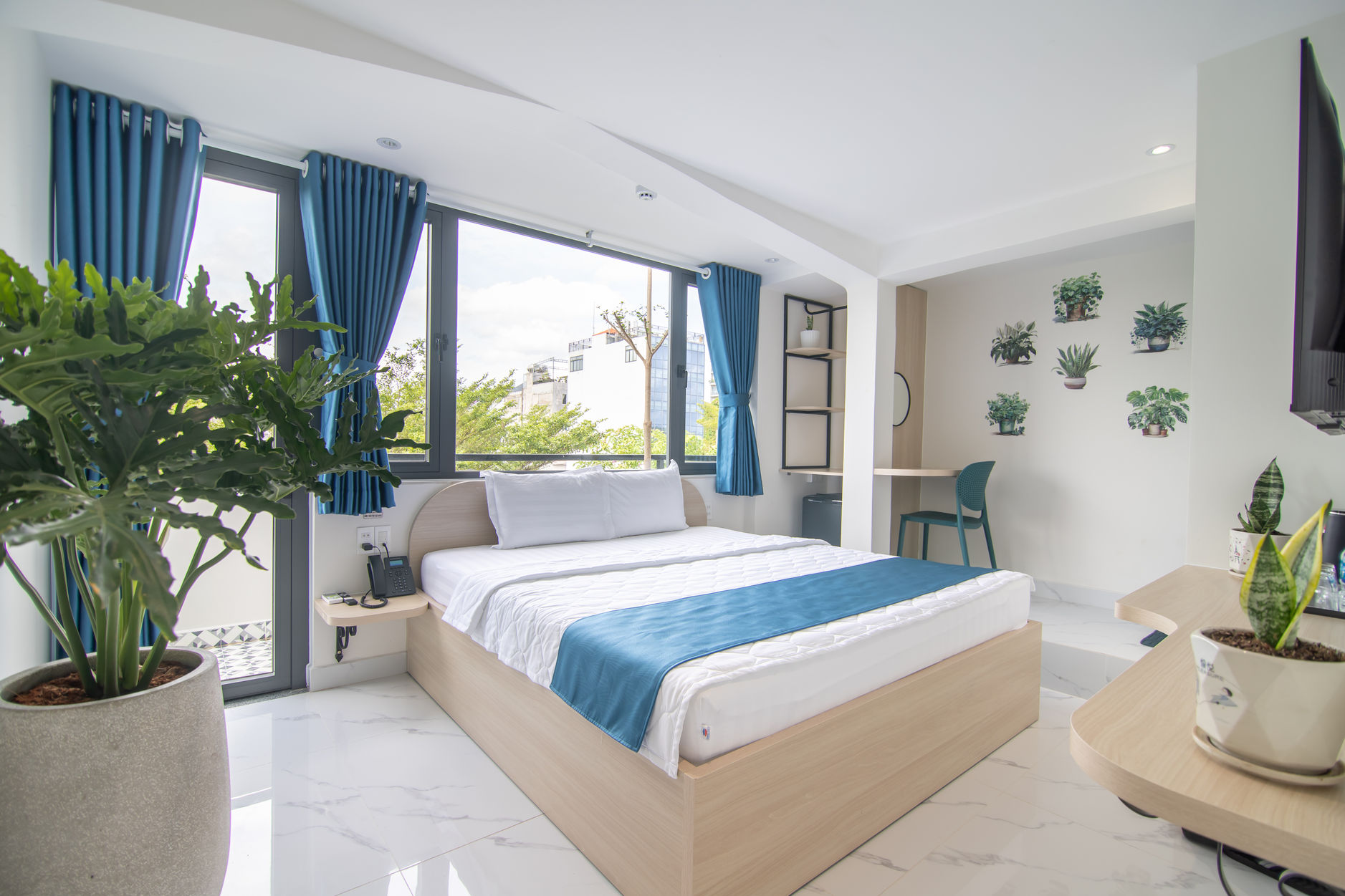 Suite Room